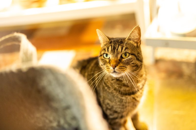 Unsere flauschige Gastgeberin